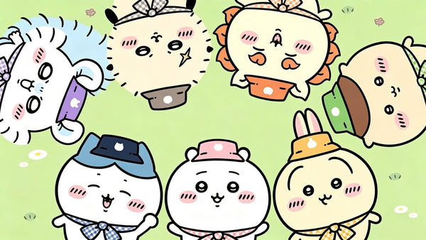 The Ultimate Guide to Chiikawa Sanrio Merch in the US